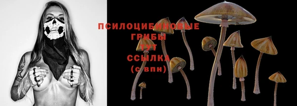 мет Нефтекумск