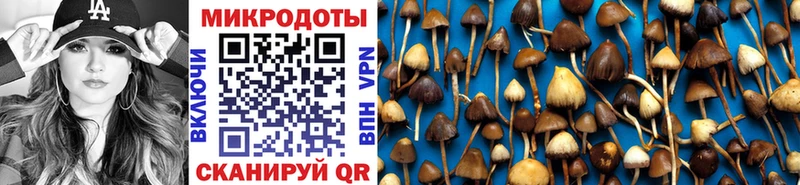 сколько стоит  Костомукша  Галлюциногенные грибы Psilocybe 