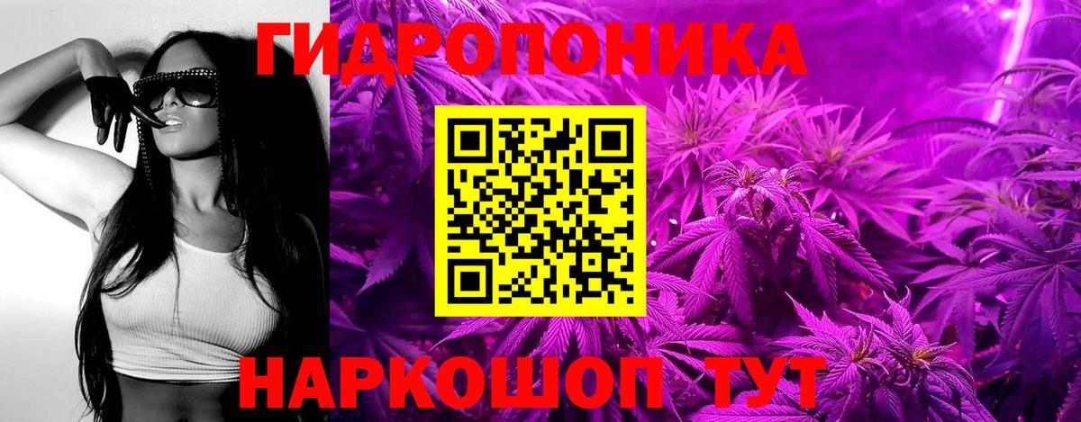 Бошки Шишки конопля Костомукша